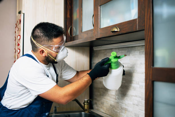 Best Cockroach Control Services  in Montezuma, IA