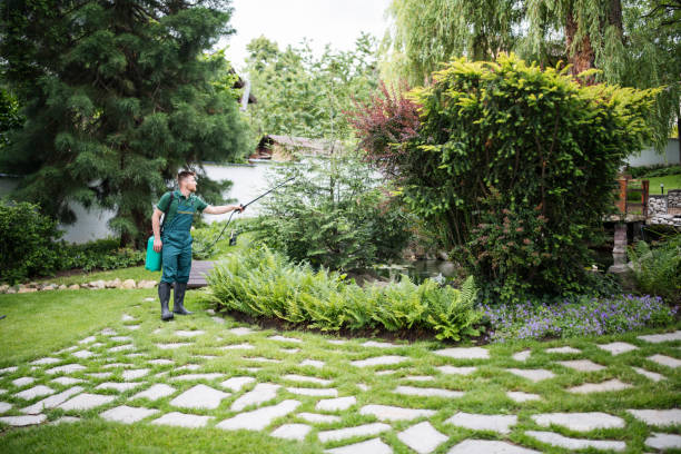 Best Local Pest Control Services  in Montezuma, IA