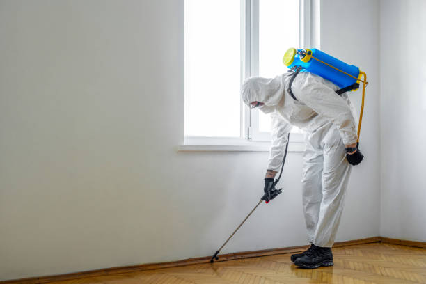 Best Termite Control Services  in Montezuma, IA