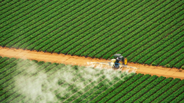 Best Pest Prevention Services  in Montezuma, IA
