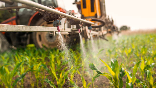 Best Best Pest Control Companies  in Montezuma, IA
